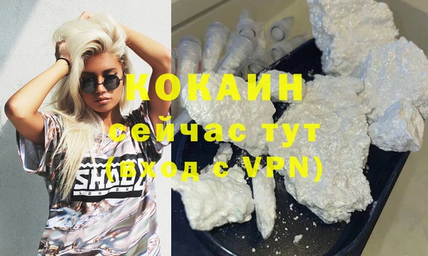 прущие грибы Зерноград