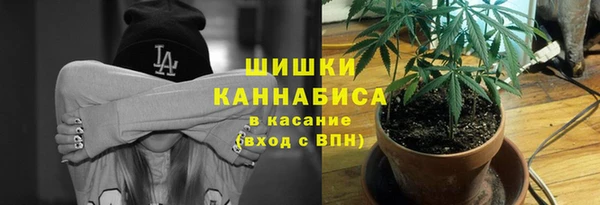 прущие грибы Зерноград