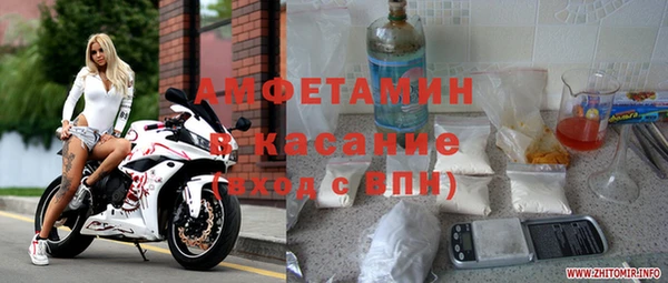 прущие грибы Зерноград